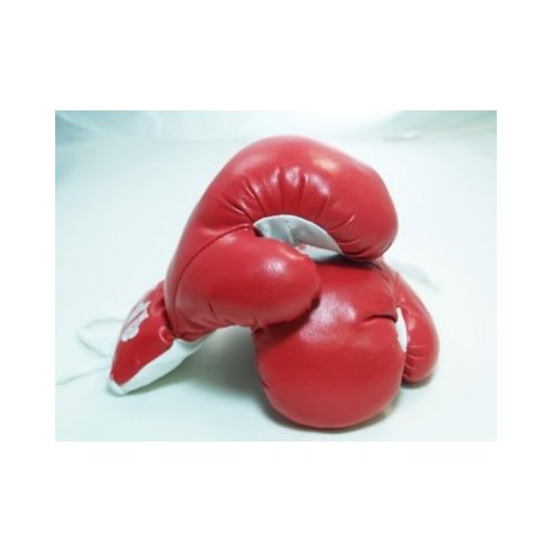 New 1 Pair of Youth Red 6oz Boxing Gloves For Kids