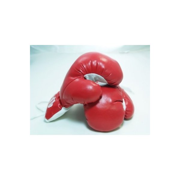 New 1 Pair of Youth Red 6oz Boxing Gloves For Kids