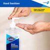 Clorox Pro Hand Sanitizer Gel with Pump, Bleach-Free, Aloe & Vitamin E Kills More Than 99.999% of Germs on Contact - Hand Sanitizer Gel Easy To Use Hand Sanitizing Gel