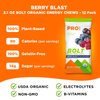 PROBAR - Bolt Organic Energy Chews, Berry Blast, Non-GMO, Gluten-Free, USDA Certified Organic, Healthy, Natural Energy, Fast Fuel Gummies with Vitamins B & C,12 Count (Pack of 1)