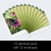 Tree-Free Greetings EcoNotes Stationary- Blank Note Cards with Envelopes, 4" x 6", Moments Rest, Boxed Set of 12 (FS66504)