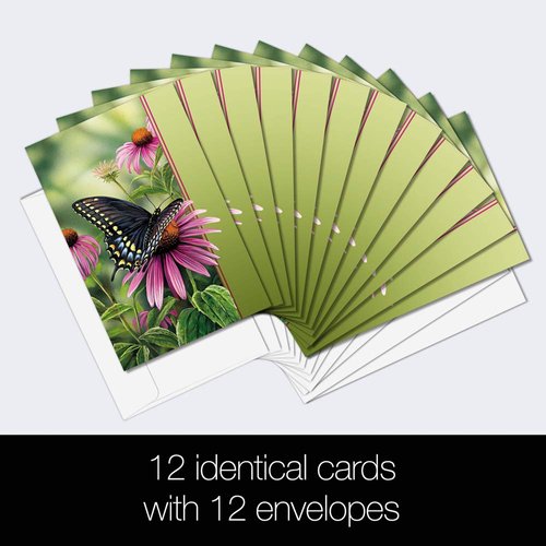 Tree-Free Greetings EcoNotes Stationary- Blank Note Cards with Envelopes, 4" x 6", Moments Rest, Boxed Set of 12 (FS66504)