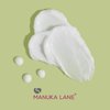 Manuka Lane Vitamin C Complete Skin Care Regimen | Includes (1) Day Cream, (1) Night Cream, (1) Face Serum, (1) Eye Cream | Powerful, Safely Derived, and Natural Ingredients