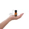 Plantlife Balance Aromatherapy Essential Oil Blend - Straight from The Plant 100% Pure Therapeutic Grade - No Additives or Fillers - Made in California 10 ml