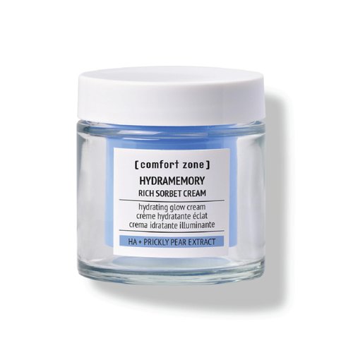 Hydramemory Rich Sorbet Cream