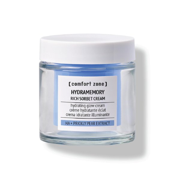 Hydramemory Rich Sorbet Cream