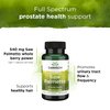 Swanson Saw Palmetto - Herbal Supplement Promoting Male Prostate Health Support - Natural Hair Supplement & Urinary Health Support - 540 mg 100 Capsules