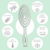 Ninabella Organic Detangling Hair Brush for Women, Men & Children - Does not Pull on Hair - Straightening Brushes for Straight, Curly & Wet Hair - Unique Spiral Hairbrush Green