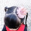 OHAOLYLE 2 Pcs Crown Hair Clips Baby Alligator Hair Clips Toddler Lace Rhinestone Princess Style Hair Accessory Birthday Hair Accessories for Students Children Girls Pink