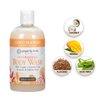 Ginger Lily Farms Botanicals Nourishing Body Wash, Coco Mango, 100% Vegan & Cruelty-Free, Coconut Mango Scent, 12 Fl Oz