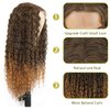 Limerence Long Curly Wigs Curly Wigs for Women Ombre Curly Wig Synthetic Wigs Natural Middle Part Wigs Long Curly Hair Wigs 24inch Hair Wigs (T-27,24inch)