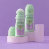 Mitchum Women 48HR Protection Roll-On Deodorant & Antiperspirant, 100ml, pack of 2