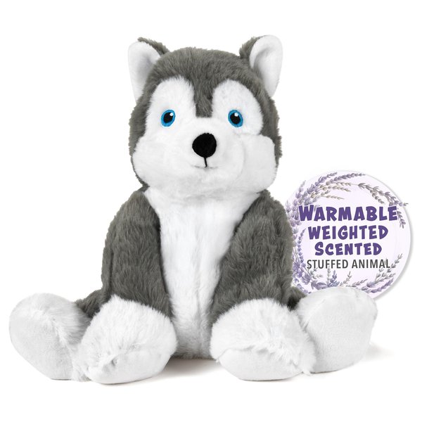Warm Pals - Hayes Husky - 1.5lbs - Cozy Microwavable Lavender Scented Plush Toys - Heated Stuffed Animal - Heatable Coolable Bedtime Comfort Plushie