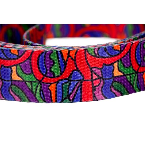 Dutch Dog Amsterdam Eco Friendly Van Heemskerck Dog Collar, 10-15-Inch, Small