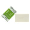 Vitabath Original Spring Green Moisturizing Gelee Bar Soap All Over Gentle Foaming Cleanser & Hydrating Solid Body Wash - Nourish & Rejuvenate All Skin Types Women & Men - 8oz (Pack of 3)