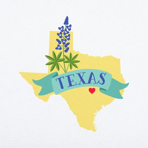 CafePress Texas State Outline Bluebonnet Flower Wall Decal 20x6 Wall Decal, Vinyl Wall Peel, Reusable Wall Cling