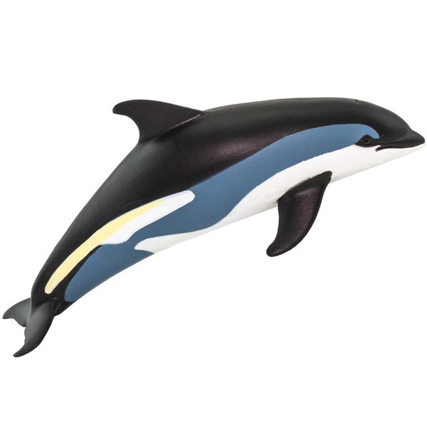 Safari Ltd. Atlantic White-Sided Dolphin Figurine - Detailed 4.75" Plastic Model Figure - Fun Educational Ocean Play Toy for Boys, Girls & Kids Ages 3+