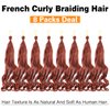 Ayana 8 Packs French Curly Braiding Hair 22 Inch Long Bouncy Loose Wavy Crochet Hair For Black Women Pre Stretched French Curl Braiding Hair Synthetic Hair Extensions(22 Inch (Pack of 8), 350#)
