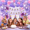 ZERODECO Pink Purple Birthday Party Decorations for Women Girls, Happy Birthday Banner Pompoms Balloon Arch Fringe Curtain Party Décor for Baby Girls Women Purple Pink Birthday Party