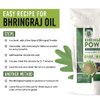 Bhringraj Powder or False Daisy (Eclipta Alba) | 100 Grams (3.5 Ounces) | 100% Natural, Organic, Herbal Supplement, Hair Conditioner | Henna Cosmetics