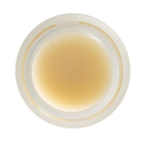 LIVING LIBATIONS - Organic Maverick Underarm Charm Cream Deodorant | Natural, Wildcrafted, Vegan Clean Beauty (.21 oz | 6 ml)