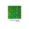 Hemway Ultra Sparkle Glitter - Multi-Size Chunky Fine Cosmetic Glitter Mix for Body Face Hair Eye Nail Art Festival, Crafts for Tumbler Resin Decorations - Emerald Green Holographic - 100g / 3.5oz