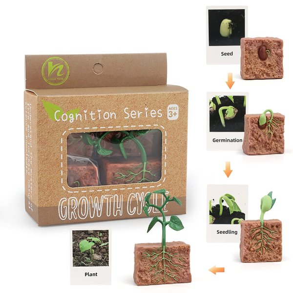 Montessori Life Cycle Animal Figures with Flash Cards, Realistic Animal Figurines Toy, Animal Educational Matching Game for 3+ year old Toddlers Kids (Plant)