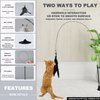 HylderS Interactive Cat Toys for Indoor Cats,4PCS Retractable Cat Feather Toy, 2PCS Silvervine Sticks Catnip Toys for Teeth Cleaning,2PCS Bouncy Ball Cat Toy w/Tail,Kitten Toys for Chasing Exercise