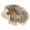 Aspen Pet Multicolored Hedgehog Plush Hedgehog Dog Toy Medium