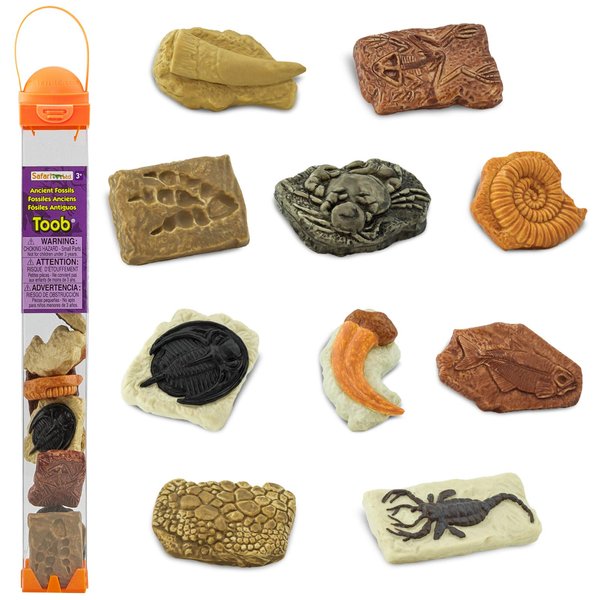 Safari Ltd. Ancient Fossils TOOB - Figurines: Dino Footprint, Giant Crab, Ammonite, Raptor Claw, T-Rex Tooth, Frog Skeleton, Sea Scorpion & More - Educational Toys for Boys, Girls & Kids Ages 3+