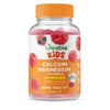 Lifeable Calcium Magnesium and Vitamin D Gummies - Great Tasting Natural Flavor Vitamin Supplements - Gluten Free GMO Free Chewable - for Bone Health Support - for Children, Teens - 90 Gummies