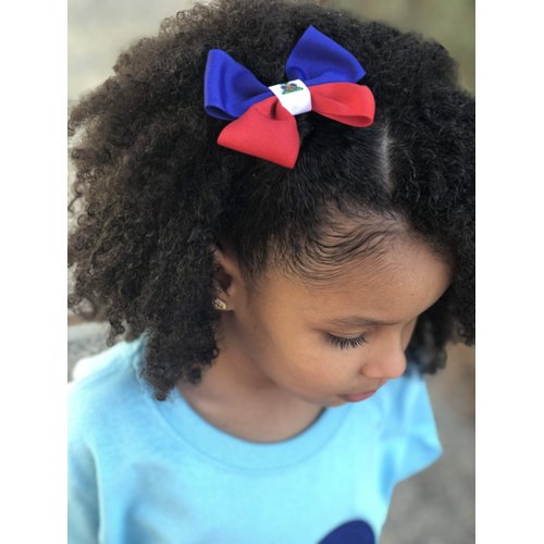 Haiti Flag Hair Bow Girls Women Hair Accessories Cultural Multicultural School Events QXP Shop