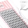 NATUHANA Premade Fans Eyelash Extension 8D Short Stem 0.07mm C Curl 9-15mm Mixed Tray Russian Volume Lash Pre made Fan False Lashes Short Root Lash Supplies Lash Extensions (9-15 MIX, 8D black;0.07 C)