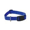 Zack & Zoey Blue Dog Collar Bulk LOT Packs 4 Sizes Nylon Litter Band Puppy Rescue Shelter(Small - 10 to 16 Inch 30 Collars)