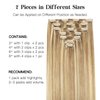HOTBANANA Human Hair Clip in Hair Extensions, Balayage Light Blonde Highlighted Golden Blonde (Ash Tone) 120g Clip in Hair Extensions Real Human Hair Straight Remy Hair Extensions 14 Inch 7pcs