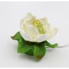 Cosmos Gifts Fine Porcelain Lighted White Magnolia Night Light Figurine, 5-3/8" L