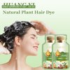 HUANG YI Bubble Plant Hair Dye Natural,New Botanical Bubble Hair Dye 20ml 10Packs/Box,Hair Dye for Gray Hair Coverage,Fruitcolor Hair Dyeing Cream Natural Plant Hair Dye Shampoo for Women Men (Black)