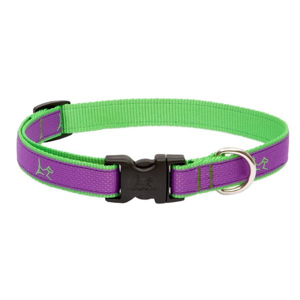 LupinePet Club 3/4" Hampton Purple 9-14" Adjustable Collar for Small Dogs