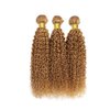 24 26 28 Inch Color #27 Bundles Honey Blonde Curly Human Hair Bundles Color #27 Kinky Curly Bundles Human Hair Weave Honey Blonde Bundles Remy Hair Extensions