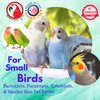Bonka Bird Toys 2465 Pk24 Cardboard Squares Foot Talon Craft Part Bird Toys Conures Amazons Cockatiels and Similar