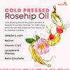 Organic Rosehip Oil for Face - Organic Cold Pressed Rose Hip Oil for Skin and Body Care - Vegan Non-GMO Gua Sha Oil - Rosa Mosqueta Oil, Rosehip Seed Facial Oil for Gua Sha Massage (1 FL. OZ.)