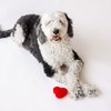 Midlee Plush Red Heart Valentine's Day Dog Toy (Small)