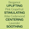 Plant Therapy KidSafe Study Time Essential Oil Blend for Focus, Mind Calming, Concentration Blend for Kids 100% Pure, Pre-Diluted Roll-On, Natural Aromatherapy, Therapeutic Grade 10 mL (1/3 oz)