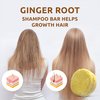 Organic Ginger Root SOLID Shampoo Bar for Growth Hair | GINGER ROOT, CAMELINA OIL, TURMERIC, LEMONGRASS | Anti Hair Loss Formula, Anti-Dandruff and Anti-Itching | Organic Ingredients | Handmade in USA