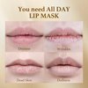 Lip Mask - Lip Sleeping Mask for Lip Care - Hydrating Lip Serum and Treatment with Collagen Peptide and Squalane - Clinically Tested Formula for Plumping Lips
