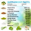 12-in-1 Nootropic Brain Supplement Anhydrous: Ginkgo Biloba for Brain Support, Memory and Focus - B12, Alpha GPC, L Theanine and Choline Supplements with Bioperine non Caffeinated 1321mg (120ct)