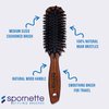 Spornette DeVille Boar Bristle Hair Brush Set - Professional Brushes Include Oval Paddle Brush #342, Paddle Brush #344, and Sculpting Brush #343 - For Women, Men, & Kids of All Hair Lengths & Types