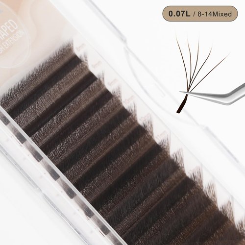 NATUHANA W Shaped Clover Eyelash Extension 5D Premade Fans 0.07mm L Curl 8-14 Mixed Tray Volume Lash Cluster W Lashes Supplies Lash Extensions (5D brown;0.07 L, 8-14 MIX)