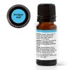 Plant Therapy Invigor Aid Essential Oil Blend 10 mL (1/3 oz) 100% Pure, Undiluted, Therapeutic Grade