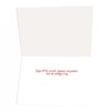 Stonehouse Collection | Beach Christmas Cards - Sand Angels Christmas Cards | Beach 18 Cards and Envelopes | USA Made